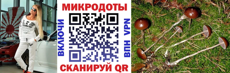 Псилоцибиновые грибы ЛСД  цена   Хилок 